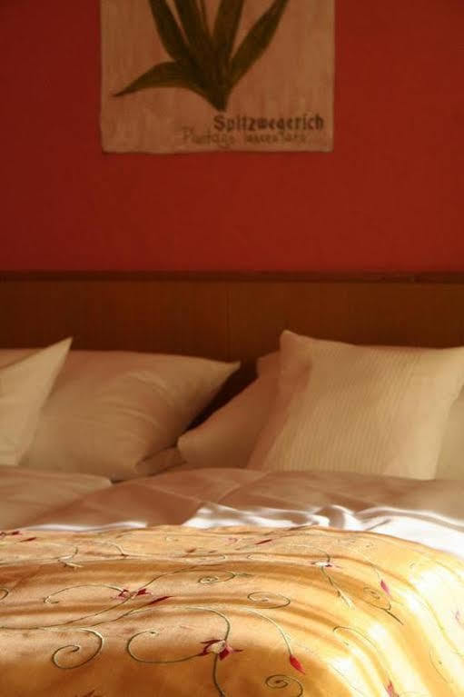Wagners Hotel Schoenblick, C&C Hotels Und Vertrieb Gmbh Fichtelberg Zewnętrze zdjęcie